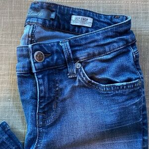 Level 99 Lily Crop Skinny Straight Jeans size 26
